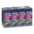 Grape Cocktail 4 x 8 x 200 ml