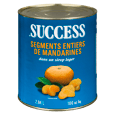 Whole Mandarin Orange Segments 2.84 L