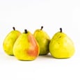 Anjou Pear