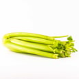 Celery