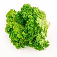 Green Lettuce