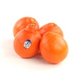 Mineola Tangerine