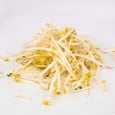 Bean Sprouts
