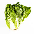 Nappa Cabbage