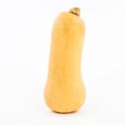 Butternut Squash