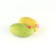 Yellow Mango