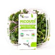 Organic Hong Radish Microgreen 75 g