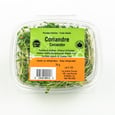 Organic Fresh Shoots Coriander 75 g