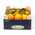 Tangerine with Leaves 7 kg