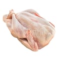 Organic Whole Turkey