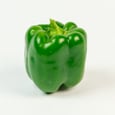 Green bell pepper 4 un