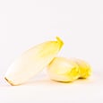 Chicory 2 un