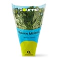 Lemon Balm