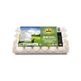Free Run Hens Eggs 24 un