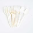 White Bioplastic Teaspoon x1000