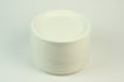 Bagasse Plate 7