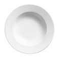 Palm Porcelain Rim Soup Plate 9'' / 23 cm