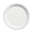 Palm Porcelain Dinner Plate 10.4