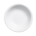Palm Porcelain Cereal Bowl 5