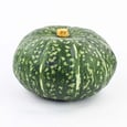Buttercup Squash 40 lb