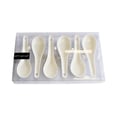 Appetizer Mini Spoon x6