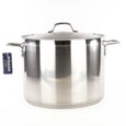 Cooking Pot Strauss Pro 24 L