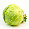 Savoy Cabbage 50 lb