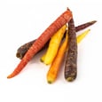 Coloured Nantes Carrots