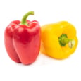 Mix Peppers x4