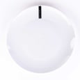 Dinner Plate 10.5''