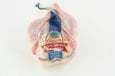 Cornish Hen Chicken