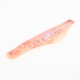 Fresh Haddock Fillet 200 g