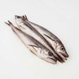 Whole Fresh Whiting 300 g