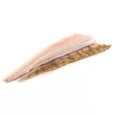 Fresh Lake Walleye Fillet