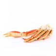 Frozen Cooked Snow Crab Section