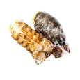 Frozen Lobster Tails from Quebec 4 to 5 oz x2