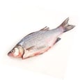 Fresh Whole White Sea Bass