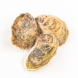 Caribou oysters