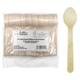 Birch Wood Teaspoon x100