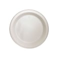 Polypro Plastic Plate 10.25