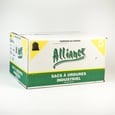 Regular Black Garbage Bags 22 po x 24 po x 500