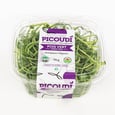 Micro-pousses biologiques de pois vert x1