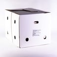 Ail mauve 13,6 kg