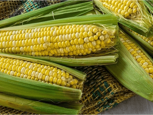 Le temps des récoltes | Mayrand Entrepôt d'Alimentation
