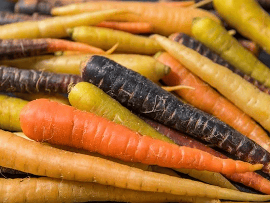 Les légumes racines | Mayrand Entrepôt d'alimentation