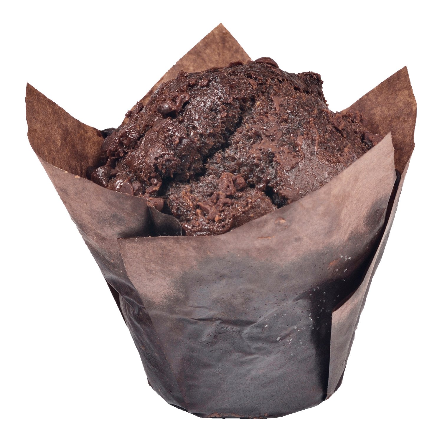 Double Chocolate Muffin x6