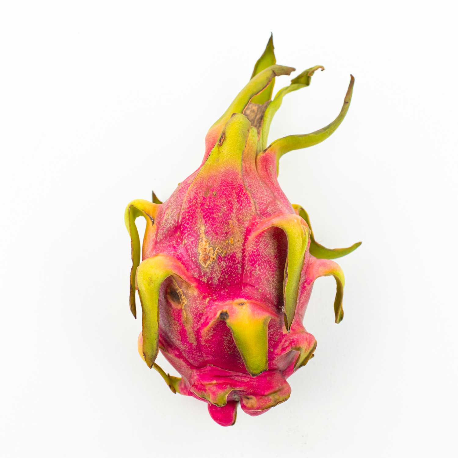 Dragon Fruit