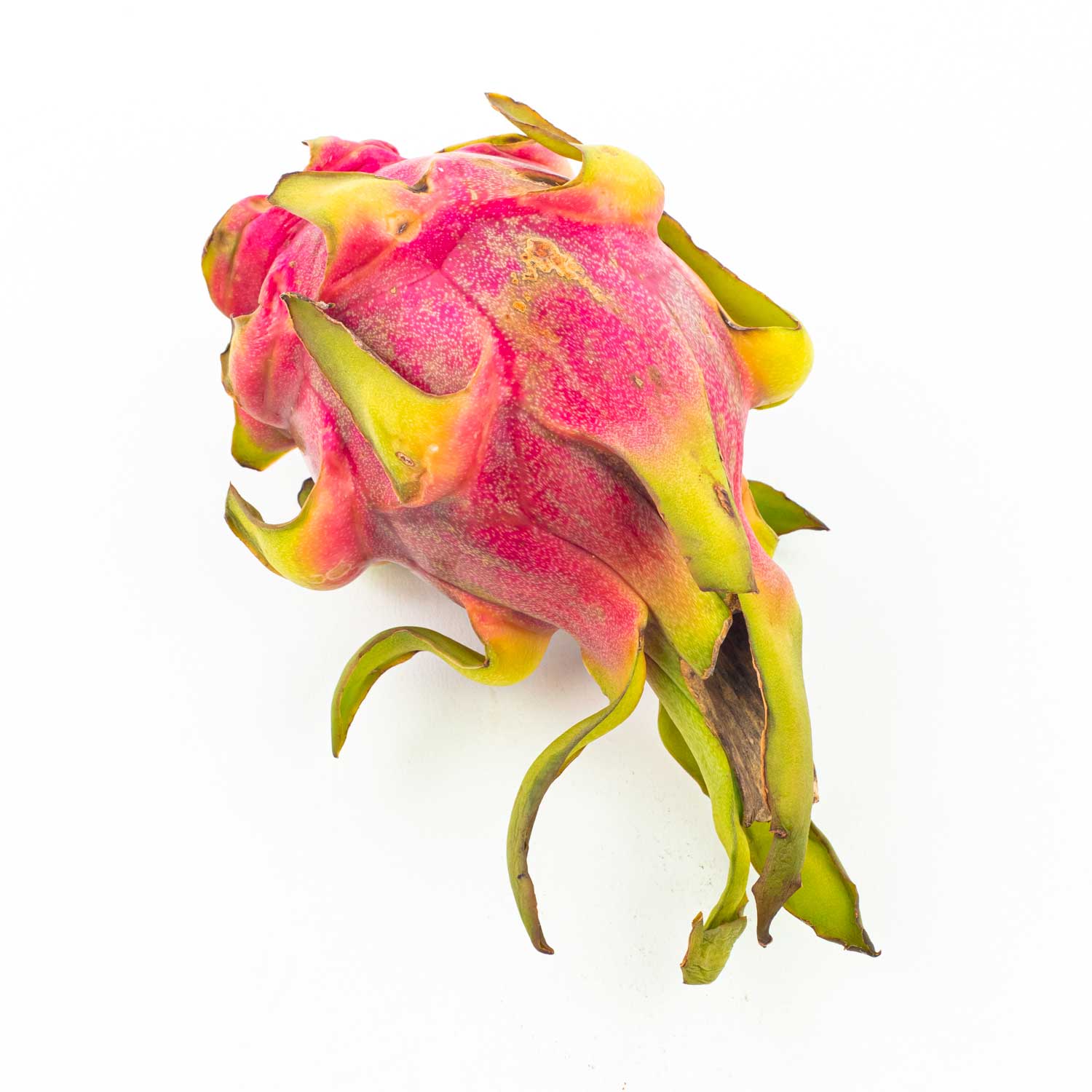 Dragon Fruit-secondary-image