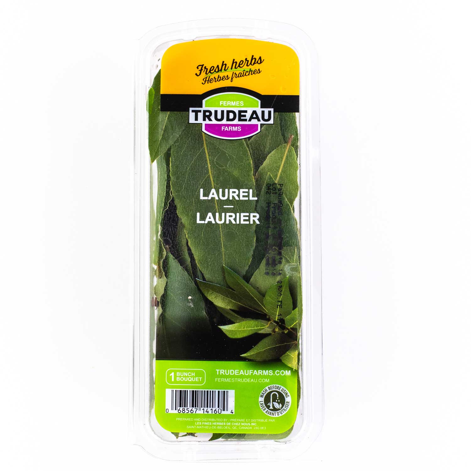 Laurel