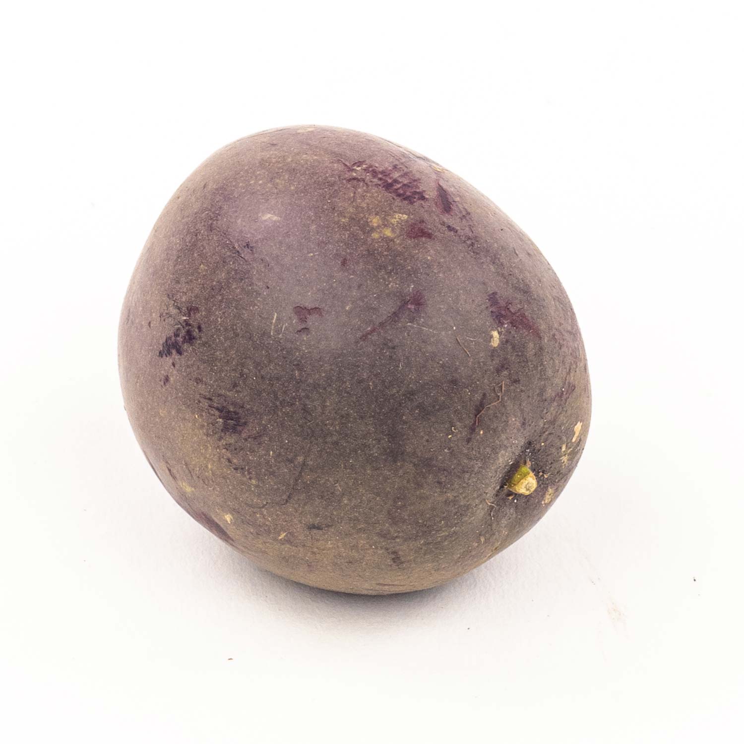 Passion Fruit x1